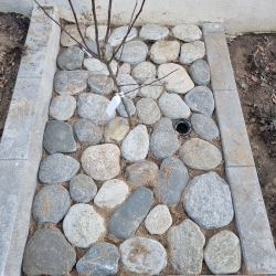 Bed med store natursten som belægning i Hjørring, der skaber en rustik og naturlig atmosfære omkring plantestedet i haven.