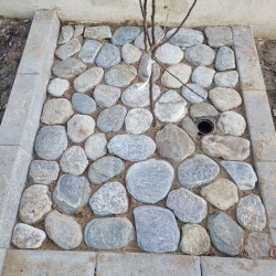 Belægning af natursten langs kanten af et bed i Hjørring. Stenene danner en dekorativ og holdbar grænse for beplantning.