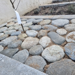 Stenbelægning i Hjørring, som skaber en æstetisk overgang mellem havebedet og resten af haven.