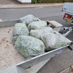 Trailer fyldt med sække af haveaffald efter havearbejde. En effektiv oprydning af haveaffald, der fremhæver vigtigheden af regelmæssigt havearbejde i Aalborg.