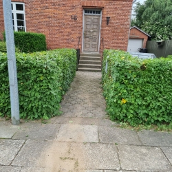 Indgang omgivet af tætklippet hæk i Hjørring, der kræver regelmæssigt havearbejde for at bevare sit velholdte udseende.