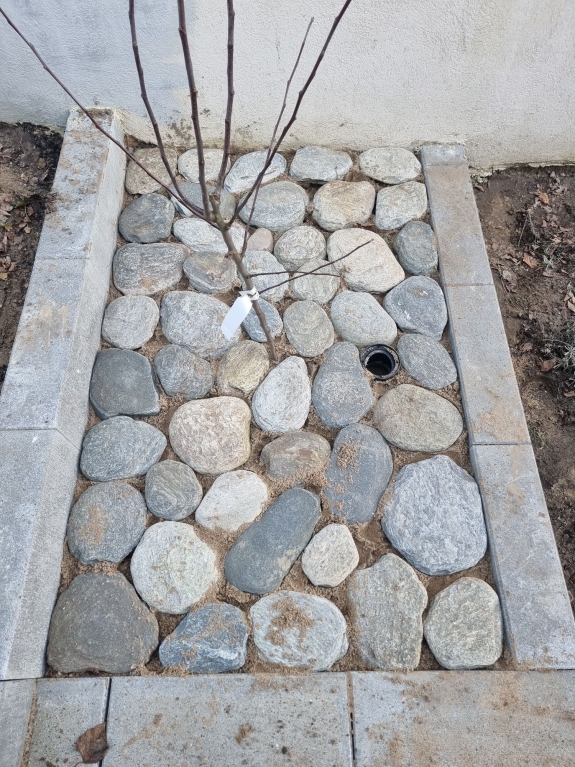 Bed med store natursten som belægning i Hjørring, der skaber en rustik og naturlig atmosfære omkring plantestedet i haven.