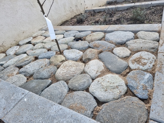 Stenbelægning i Hjørring, som skaber en æstetisk overgang mellem havebedet og resten af haven.