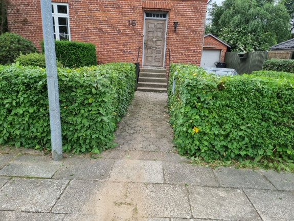 Indgang omgivet af tætklippet hæk i Hjørring, der kræver regelmæssigt havearbejde for at bevare sit velholdte udseende.