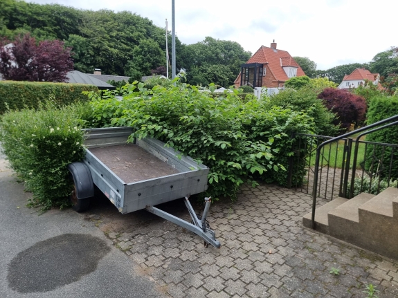 Hæk omgivet af en trailer og indkørsel ved en bolig i Hjørring. Et klassisk havedesign, hvor hækken skaber både privatliv.