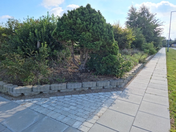 En have med et bed omgivet af stenkanter. Dette område er klar til oprydning og rengøring for at få det til at se velplejet ud.